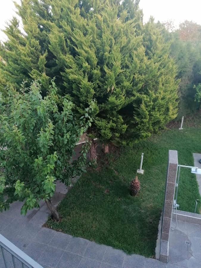Villa Angela Dhrousha Bagian luar foto