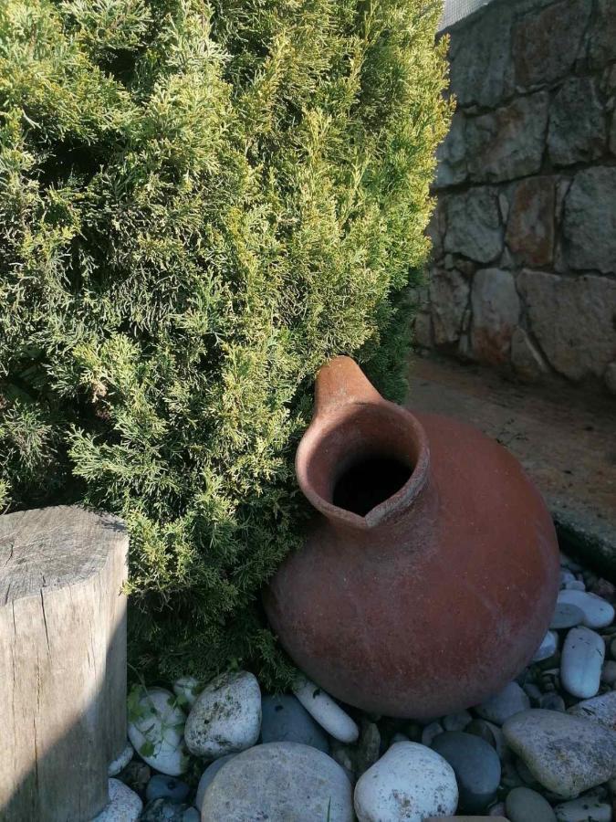 Villa Angela Dhrousha Bagian luar foto